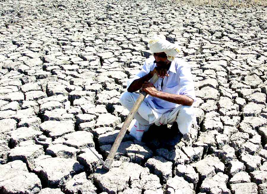 andhrapradeshdeclares196of670mandalsasdroughthit